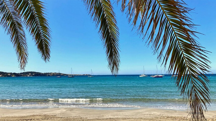 Sous les tropiques de Bandol